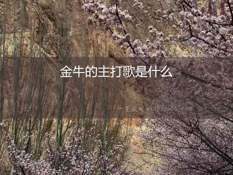 金牛的主打歌是什么