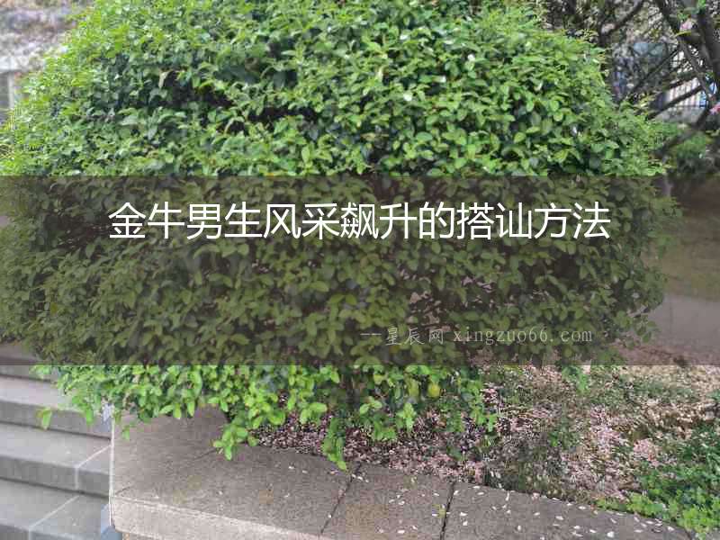 金牛男生風采飆升的搭訕方法