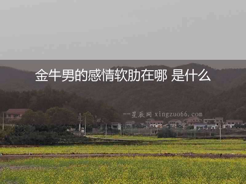 金牛男的感情軟肋在哪 是什么