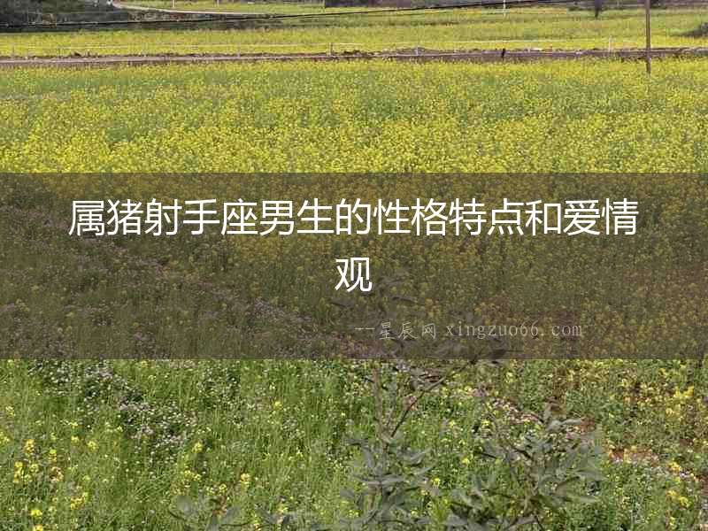 屬豬射手座男生的性格特點(diǎn)和愛(ài)情觀