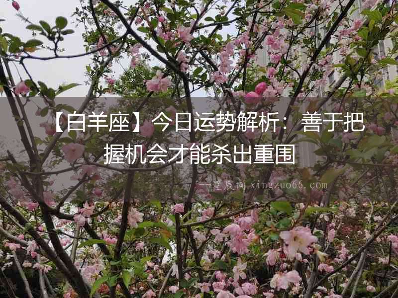 【白羊座】今日運勢解析：善于把握機會才能殺出重圍