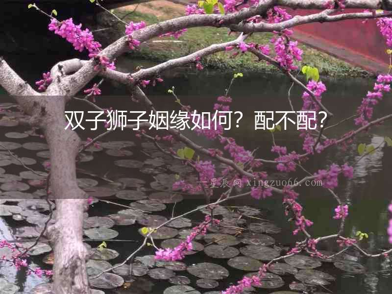 雙子獅子姻緣如何？配不配？
