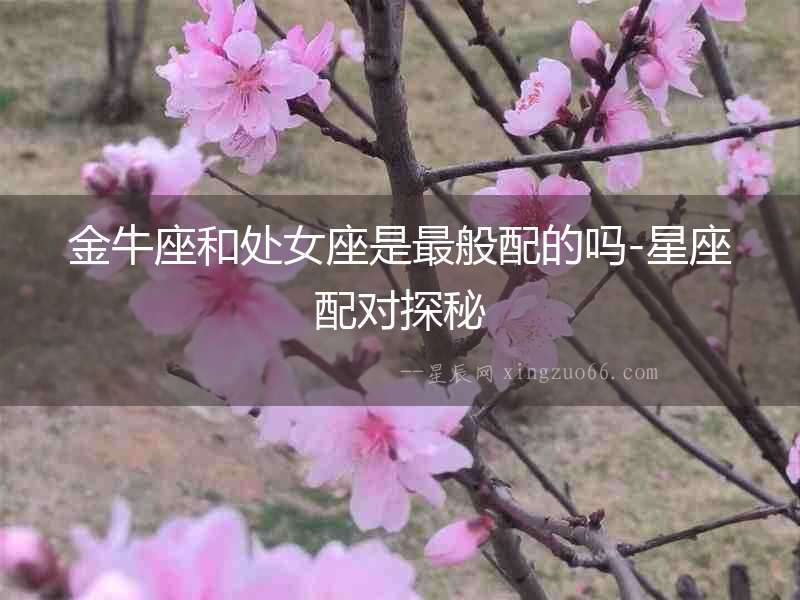 金牛座和處女座是最般配的嗎-星座配對探秘