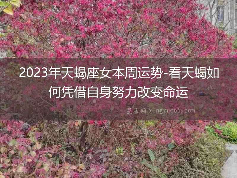 2023年天蝎座女本周運(yùn)勢(shì)-看天蝎如何憑借自身努力改變命運(yùn)