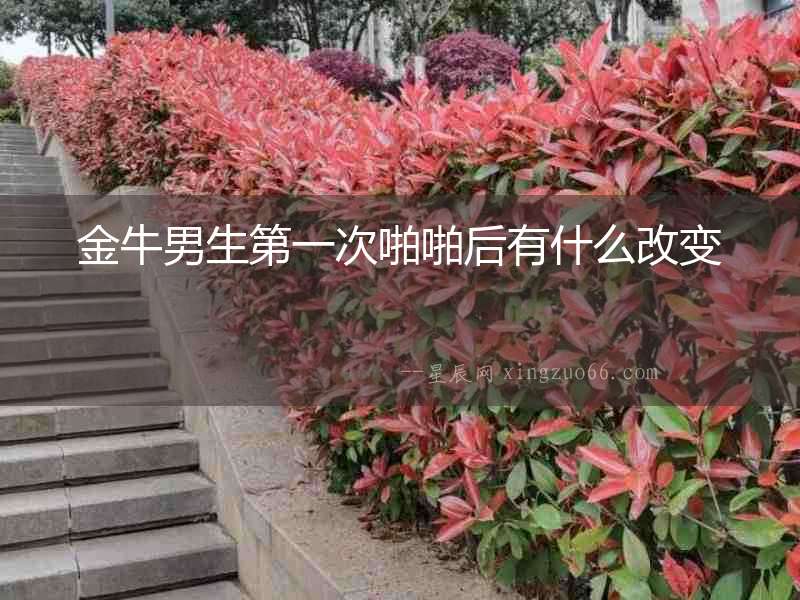 金牛男生第一次啪啪后有什么改變