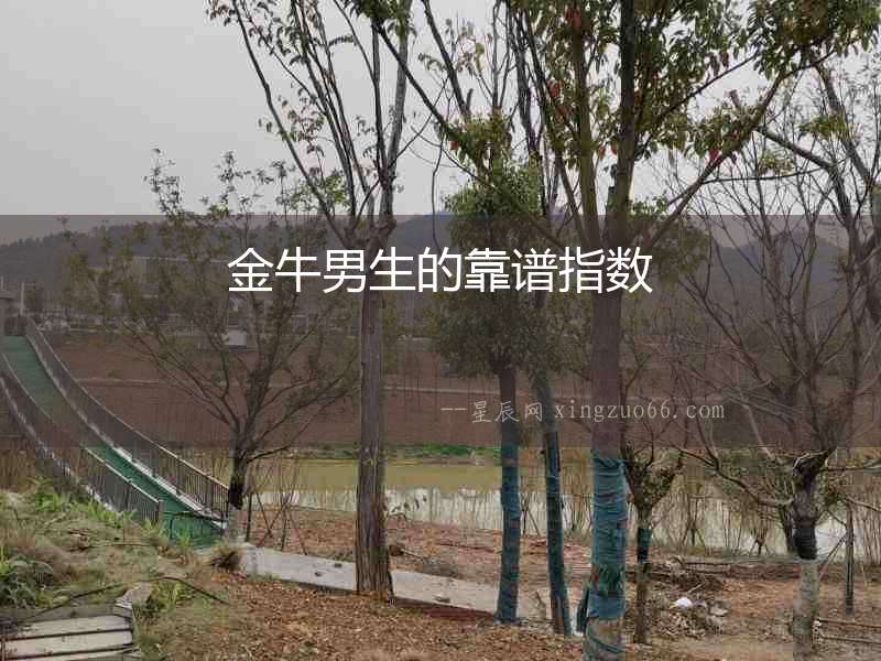 金牛男生的靠譜指數