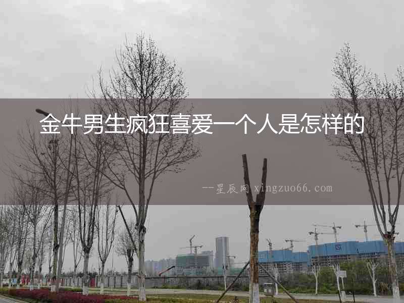 金牛男生瘋狂喜愛一個人是怎樣的