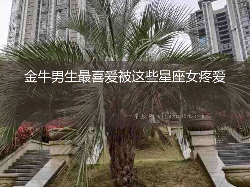 金牛男生最喜愛(ài)被這些星座女疼愛(ài)