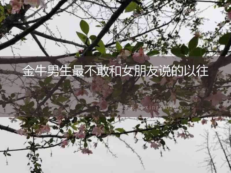 金牛男生最不敢和女朋友說的以往