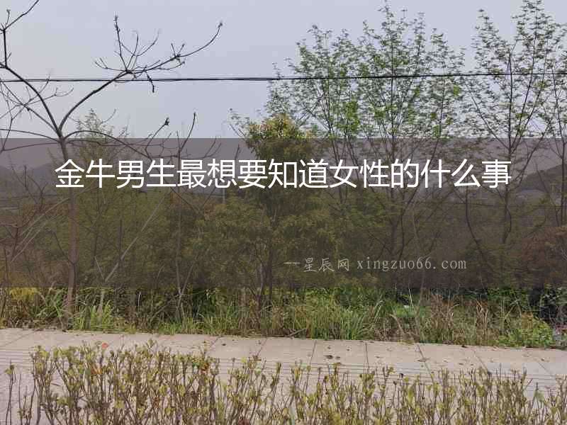 金牛男生最想要知道女性的什么事