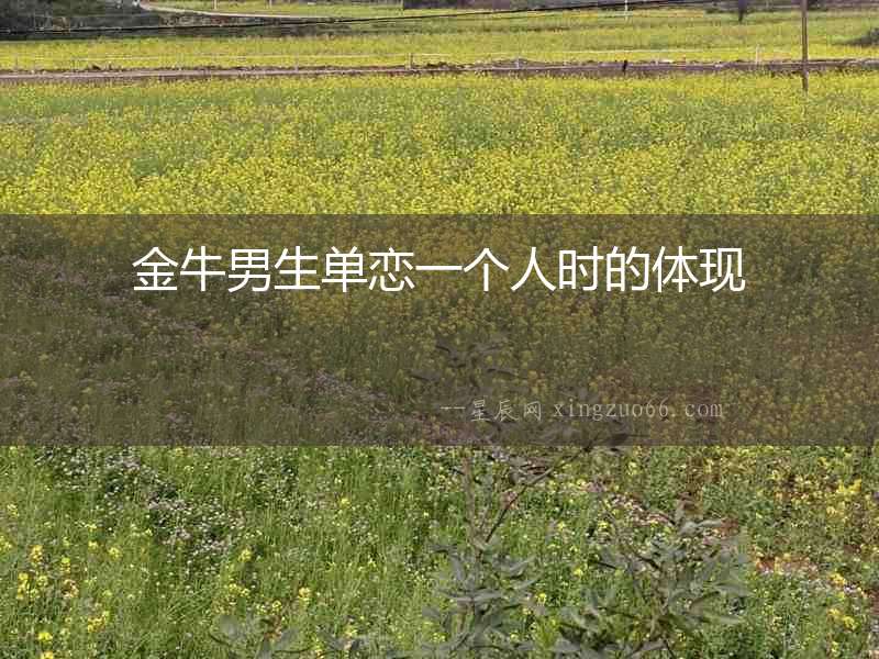 金牛男生單戀一個人時的體現