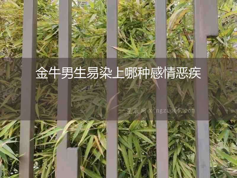 金牛男生易染上哪種感情惡疾