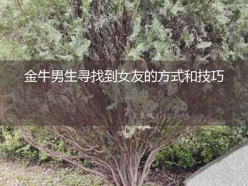 金牛男生尋找到女友的方式和技巧