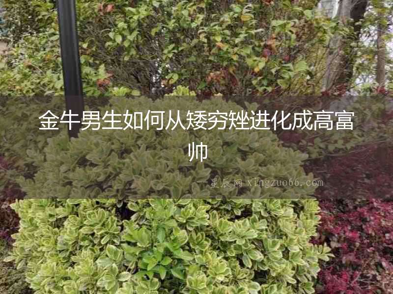 金牛男生如何從矮窮矬進化成高富帥