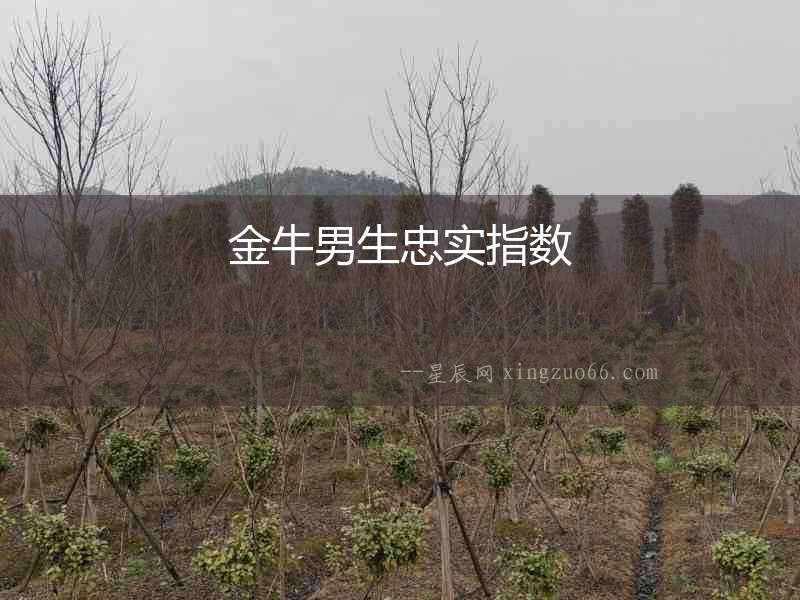 金牛男生忠實指數