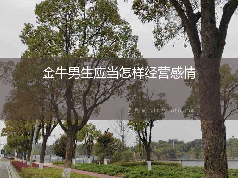 金牛男生應當怎樣經營感情