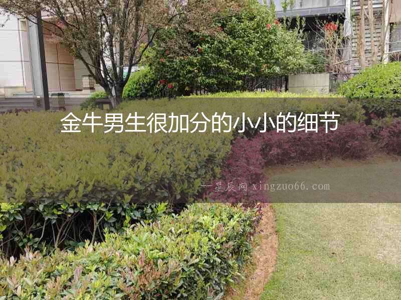 金牛男生很加分的小小的細(xì)節(jié)