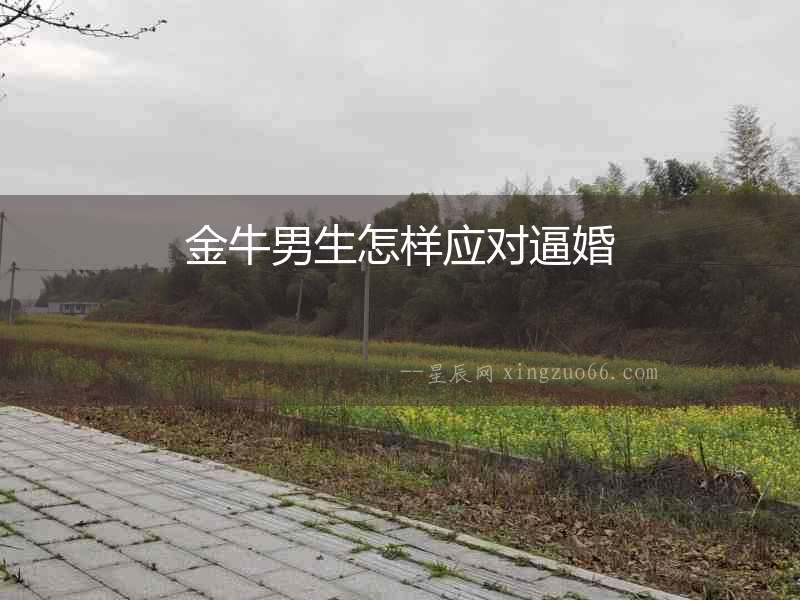 金牛男生怎樣應(yīng)對(duì)逼婚