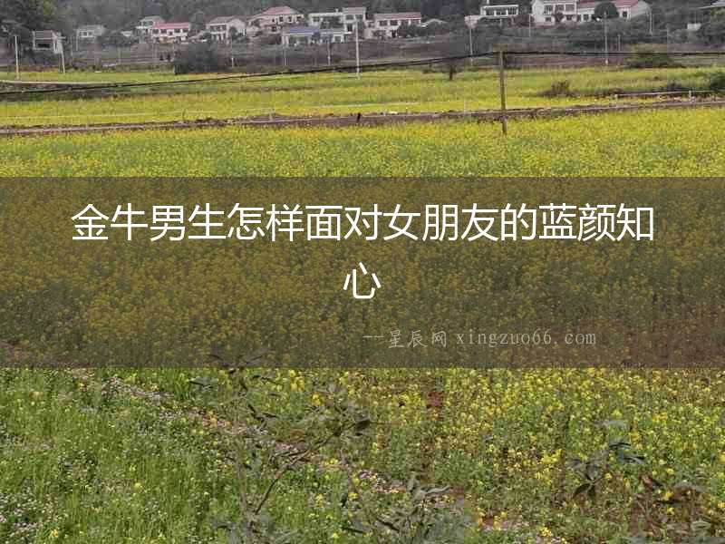 金牛男生怎樣面對女朋友的藍顏知心