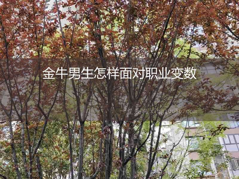 金牛男生怎樣面對職業變數