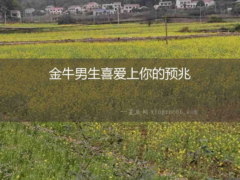 金牛男生喜愛上你的預兆
