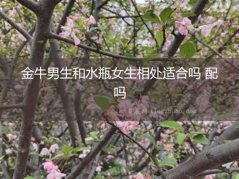 金牛男生和水瓶女生相處適合嗎 配嗎
