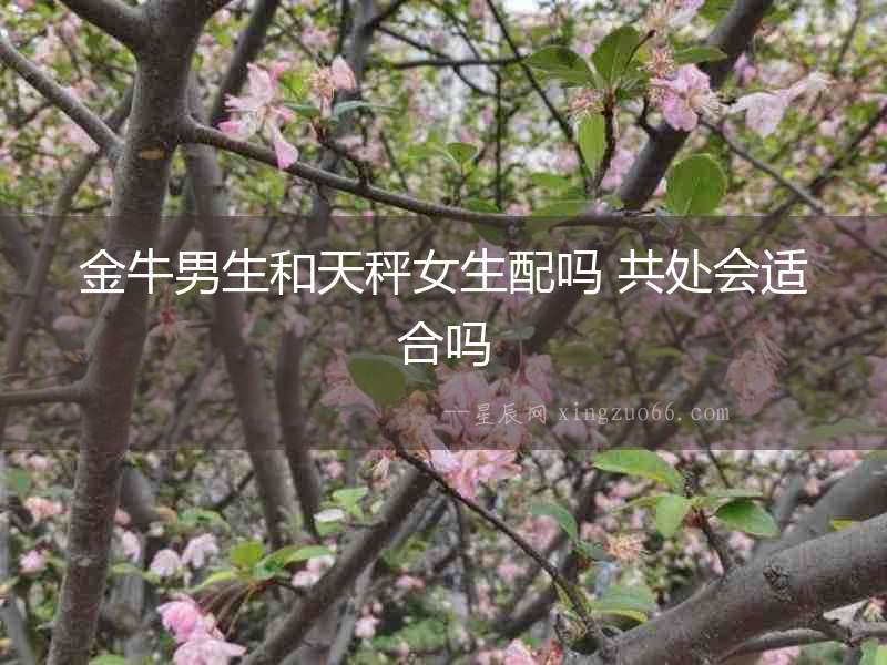 金牛男生和天秤女生配嗎 共處會適合嗎