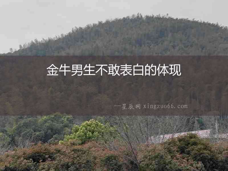 金牛男生不敢表白的體現