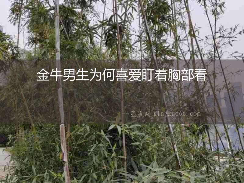 金牛男生為何喜愛盯著胸部看