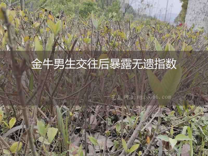 金牛男生交往后暴露無遺指數