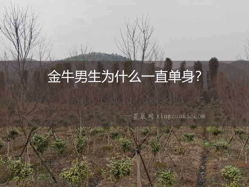 金牛男生為什么一直單身？