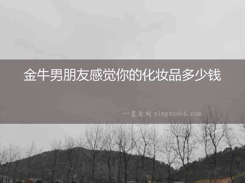 金牛男朋友感覺你的化妝品多少錢