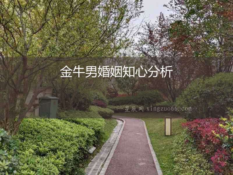 金牛男婚姻知心分析