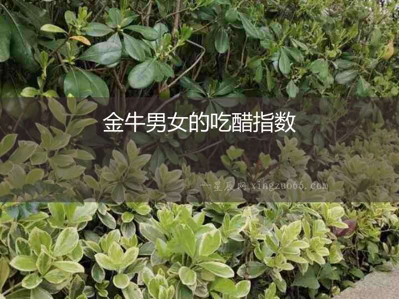 金牛男女的吃醋指數