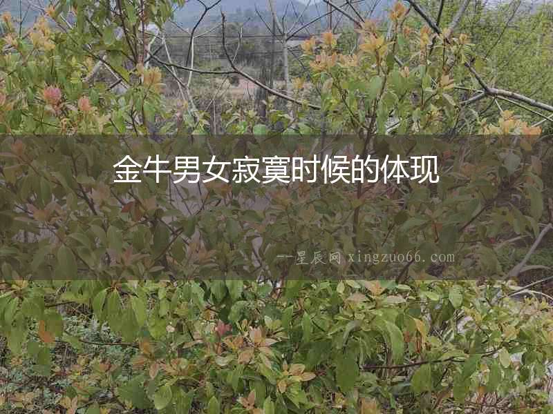 金牛男女寂寞時候的體現