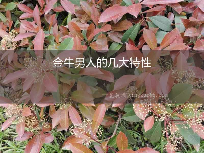金牛男人的幾大特性