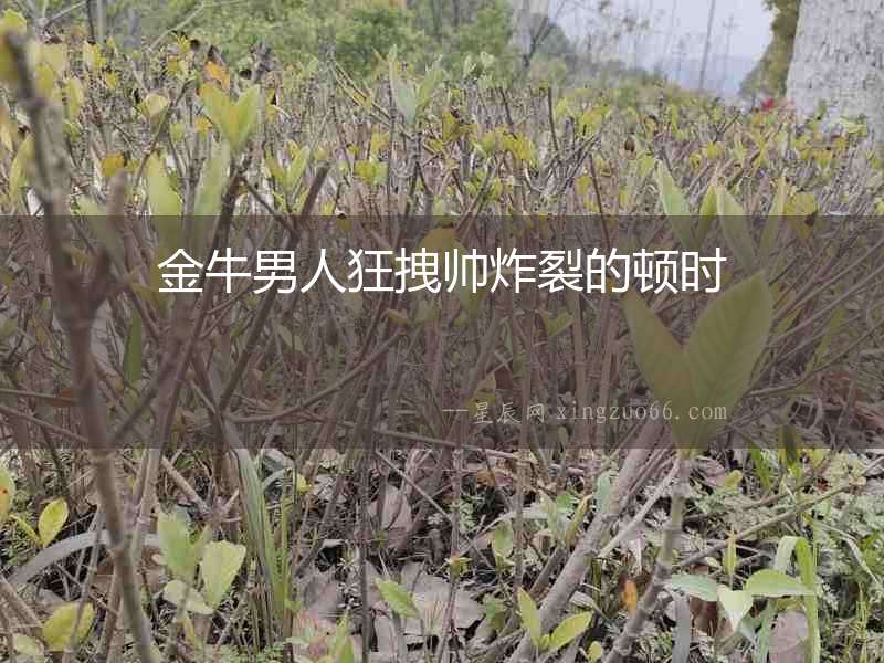 金牛男人狂拽帥炸裂的頓時