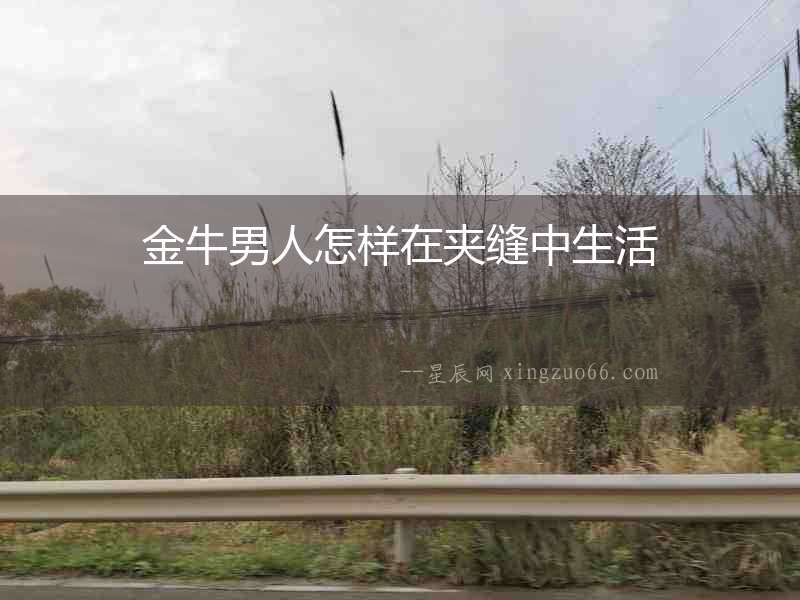 金牛男人怎樣在夾縫中生活