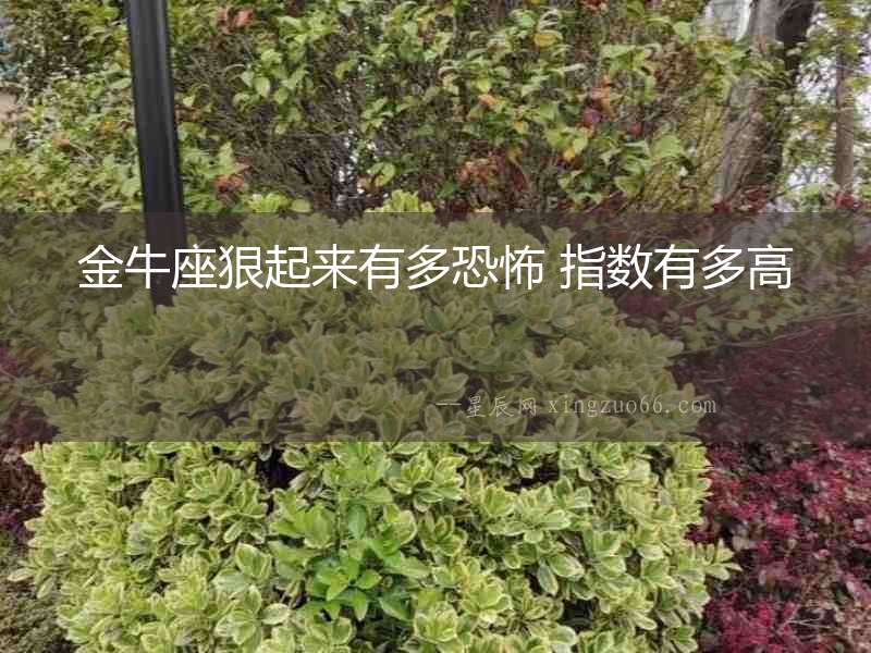 金牛座狠起來有多恐怖 指數(shù)有多高