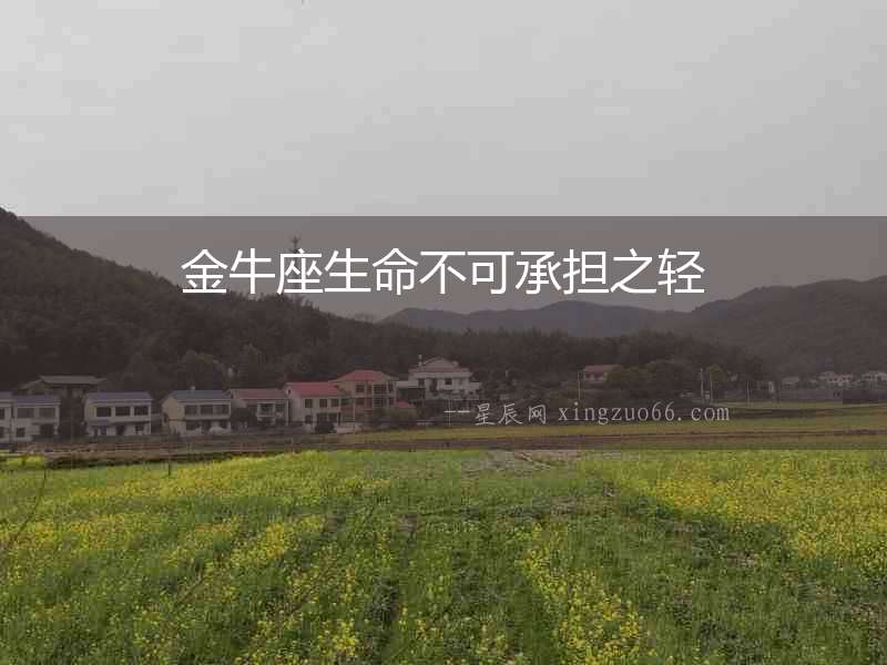 金牛座生命不可承擔之輕