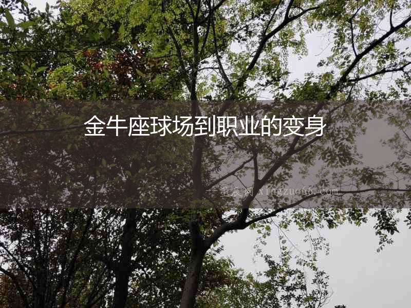 金牛座球場到職業(yè)的變身