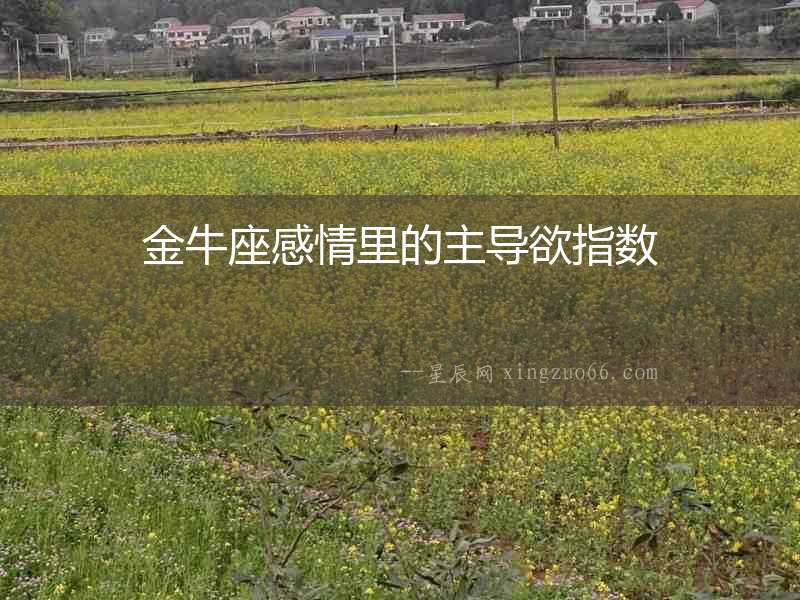 金牛座感情里的主導欲指數