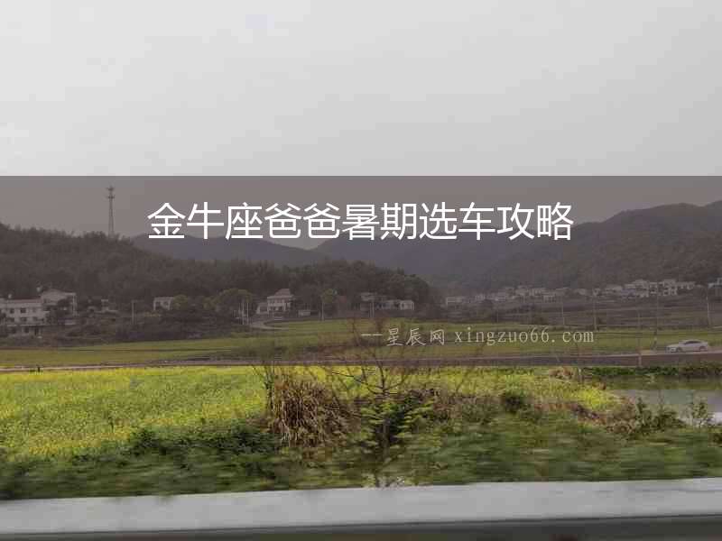 金牛座爸爸暑期選車攻略