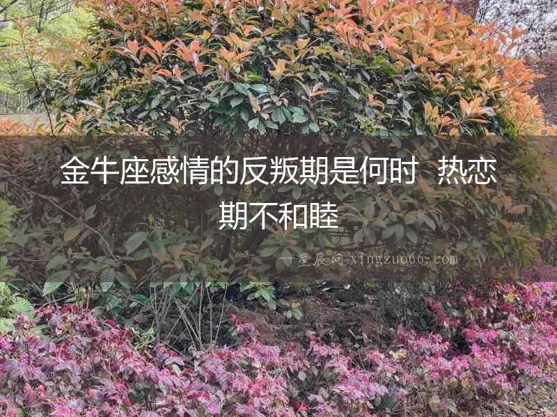 金牛座感情的反叛期是何時  熱戀期不和睦