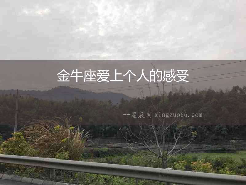 金牛座愛上個人的感受