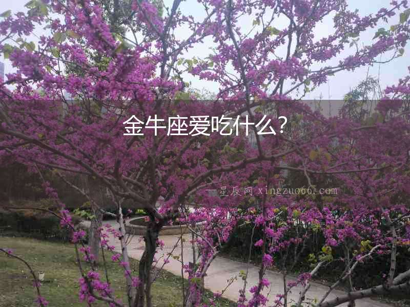 金牛座愛吃什么？