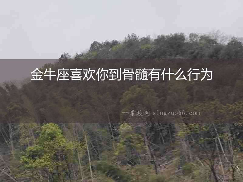 金牛座喜歡你到骨髓有什么行為