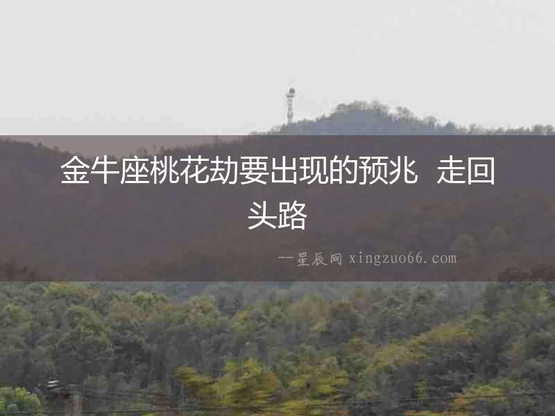 金牛座桃花劫要出現的預兆  走回頭路