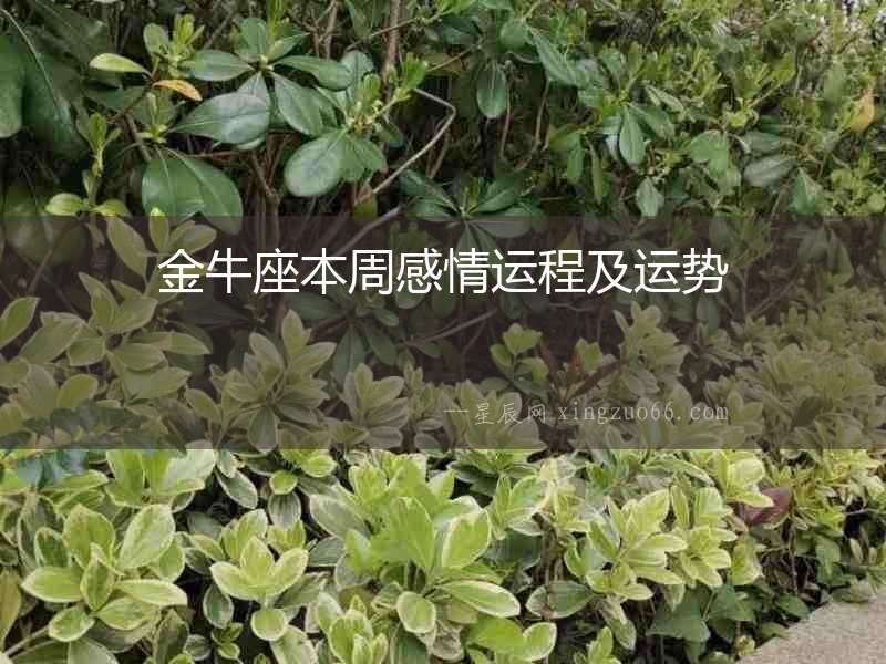 金牛座本周感情運(yùn)程及運(yùn)勢