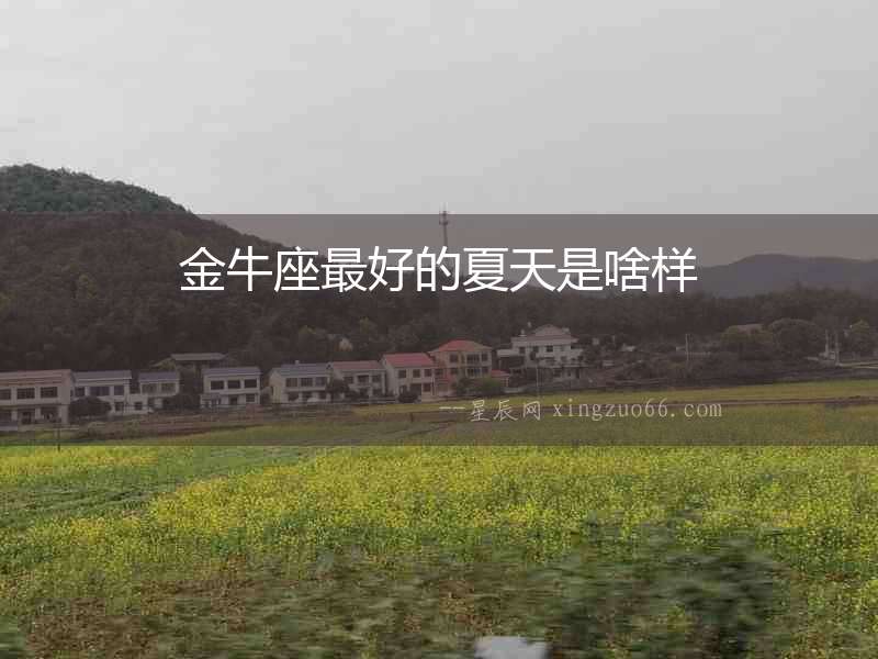 金牛座最好的夏天是啥樣